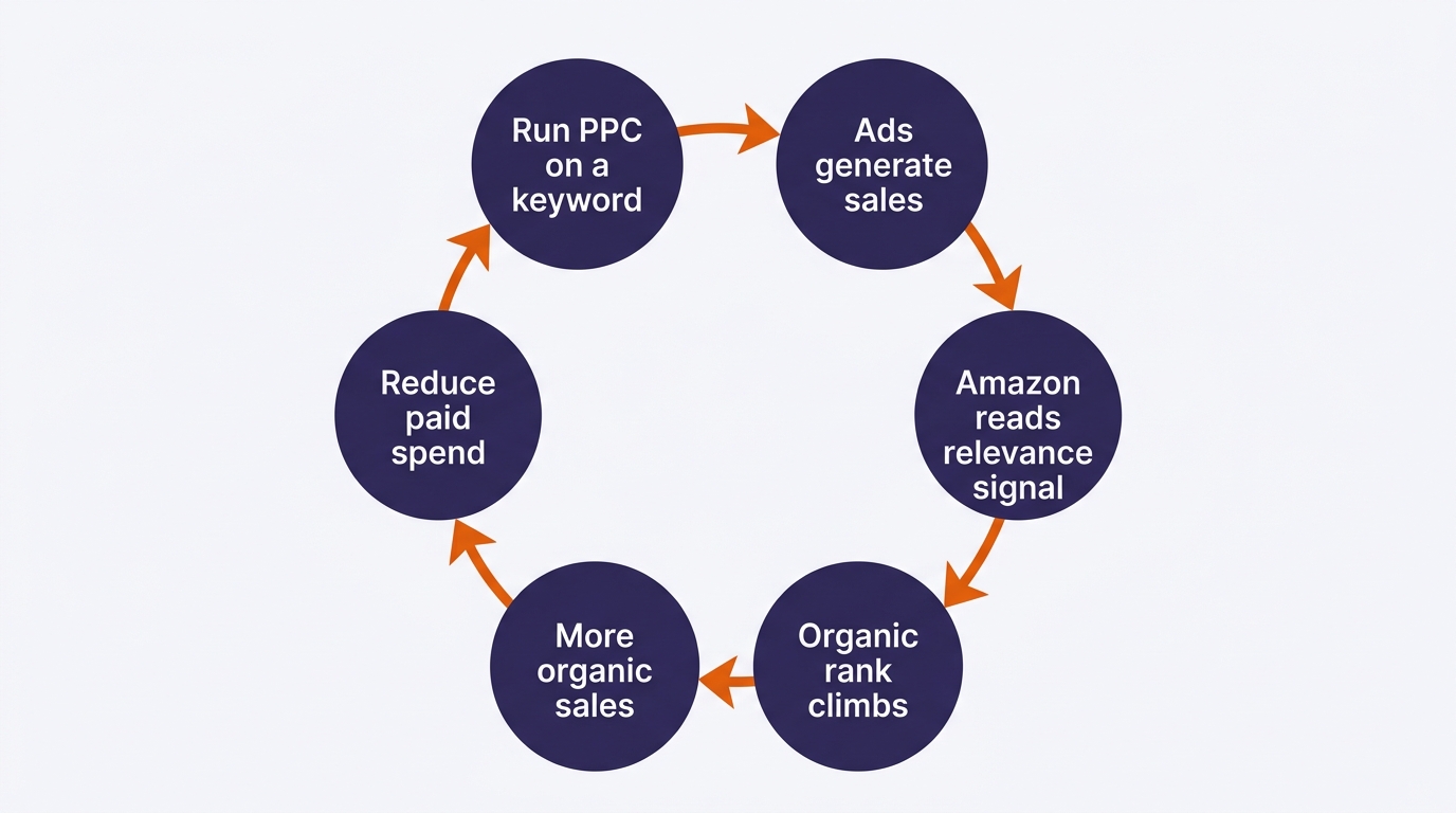 amazon ppc and organic ranking flywheel